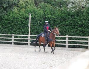 Kent Livery Yard  