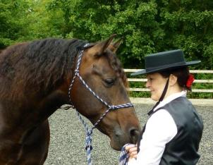 Kent Livery Yard Karen French