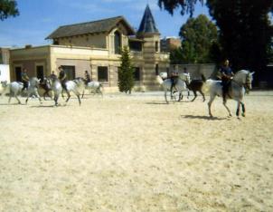 Kent Livery Yard Trip to Jerez