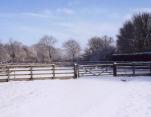 Kent Livery Yard In the snow